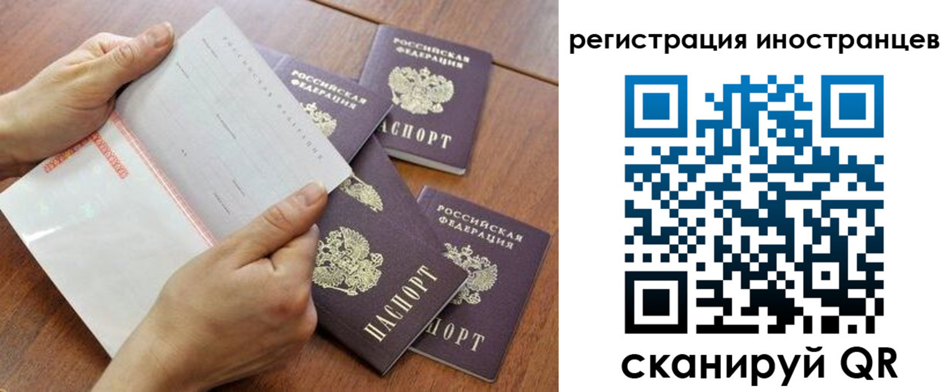 прописка поиск в Сердобске